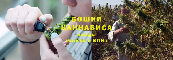 мдпв Лихославль