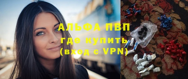 гашик Ладушкин