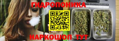spice Канаш
