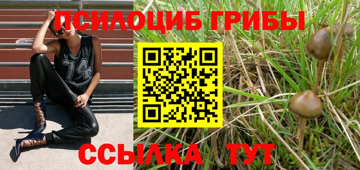 Галлюциногенные грибы Magic Shrooms Мариинск