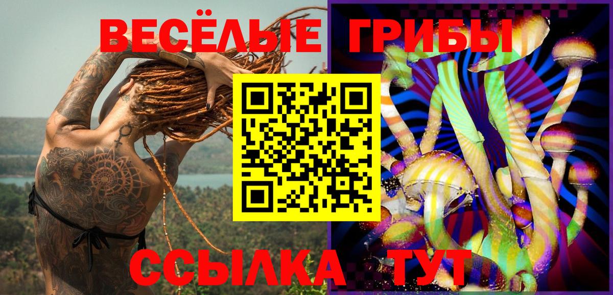 Псилоцибиновые грибы Cubensis Мариинск
