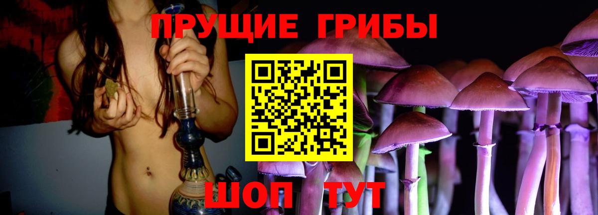Псилоцибиновые грибы Psilocybine cubensis  Вход с VPN  Мариинск 